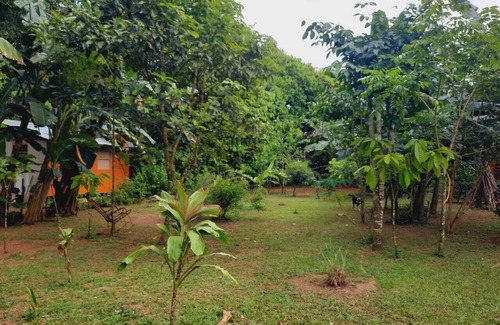 Los Planes Cabina | corcovado green parrot