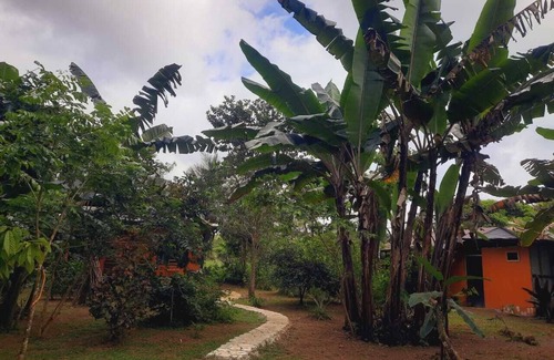 Los Planes Cabina | corcovado green parrot