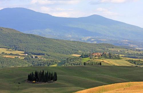 Montalcino Complejo | Cordella in Montalcino Wine Resort