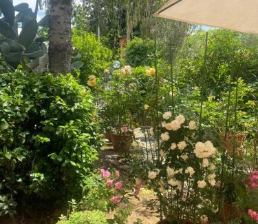 Castelnuovo di Porto Cama Y Desayuno | Corelli & Company Rose Musica e Libri