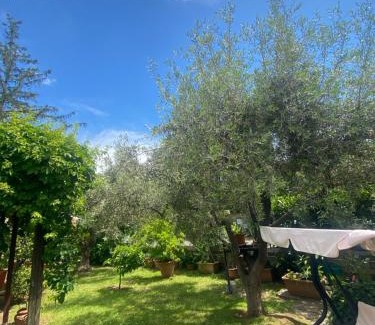 Castelnuovo di Porto Cama Y Desayuno | Corelli & Company Rose Musica e Libri