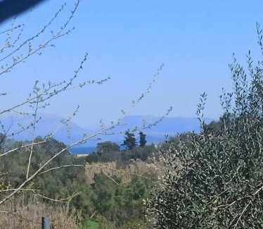 Roumanades Casa | CORFU OASIS studio