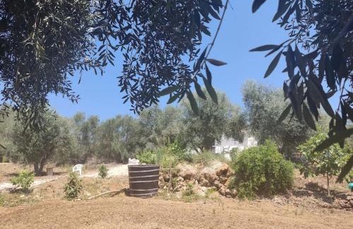 Roumanades Casa | CORFU OASIS studio