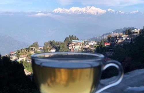 Darjeeling Casa | Corner Homestay by The Pine Cones