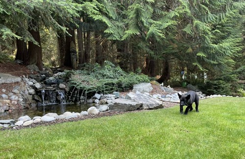 Oak Harbor Casa | Cornet Bay Lodge. Park retreat