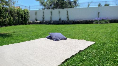 Macchia Casa | Cornice di Stile Wellness and Luxury Pool