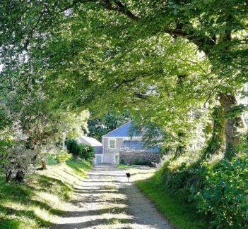 Liskeard Casa | Cornwall, Looe - Magical Pendriffey