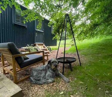 Lanivet Apartamento | Cornwall Woodland Shepherd's Hut Deirdres Hut
