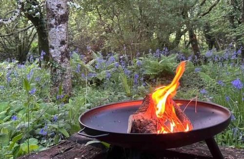 Lanivet Apartamento | Cornwall Woodland Shepherd's Hut Deirdres Hut