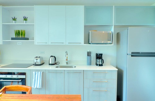 San Miguel Apartamento | Corporate Stays | Arborea Flats | Modern 1 Bedroom I Santa Ana