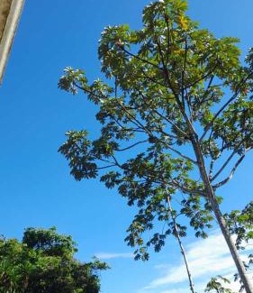 Pacuare Reserve Cabina | Corredores del Pacuare