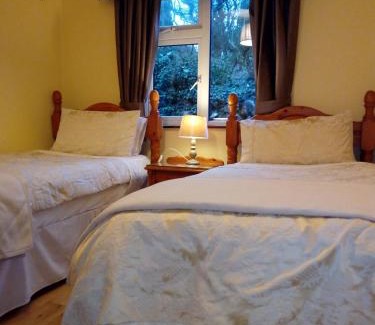 Merlin Park Casa | Corrib View Guesthouse h91rr72