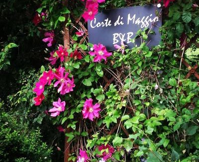 Imola Cama Y Desayuno | Corte di Maggio B&B Country House