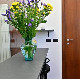Sud Apartamento | Corte Graziella