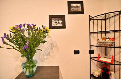 Sud Apartamento | Corte Graziella