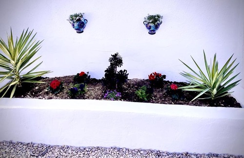 Partaloa Apartamento | Cortijo Calmoso El bungalow
