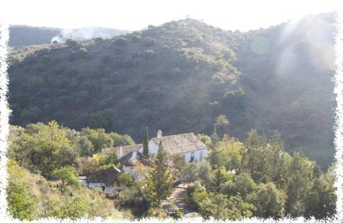 Puerto de la Torre Casa | Cortijo Casas Viejas