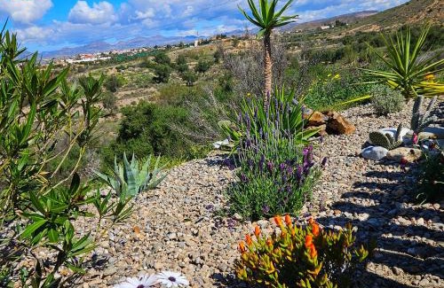 Locaiba Cama Y Desayuno | Cortijo El Ancla
