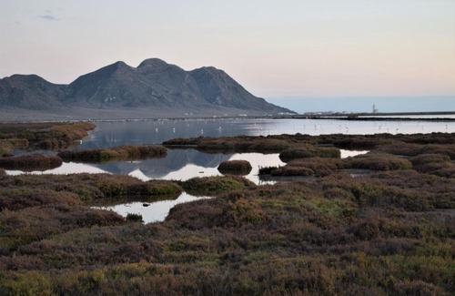 Pujaire Casa | Cortijo La Molina de Cabo de Gata