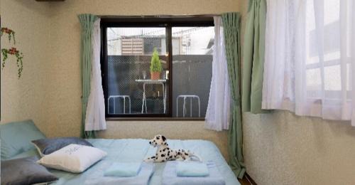 Kamitakaido Apartamento | Cosmo Mercy N-1/Vacation STAY 12990