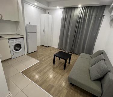 Stefanestii de Jos Apartamento | Cosmopolis Single Bedroom Apartment 204