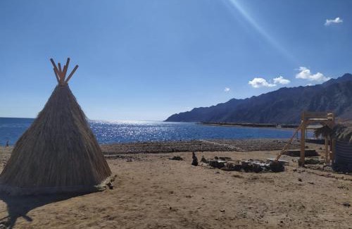 Dahab Otro | COSMOS nature Lodge and Spiritual community