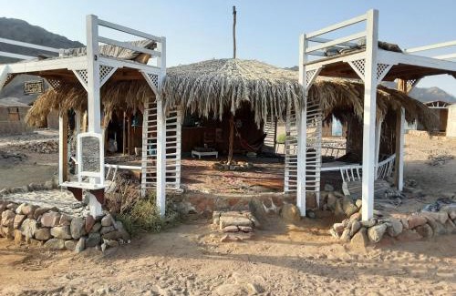 Dahab Otro | COSMOS nature Lodge and Spiritual community