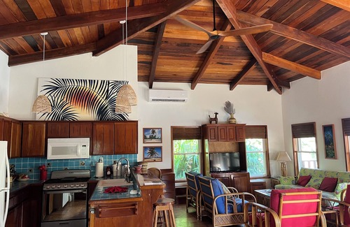 San Pedro Villa | Costa Caye Villa - Beautiful 3 BR/4BA Oceanfront Private Villa