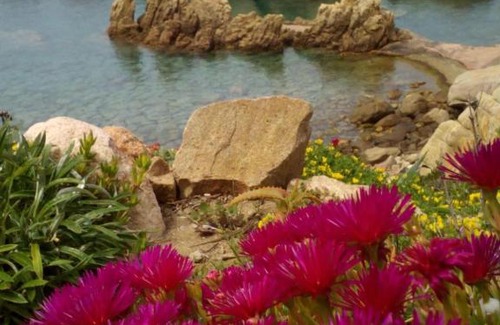 Costa Paradiso Casa | Costa Paradiso Villaggio Tamerici