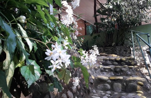 Chilamate Alquiler De RV | Costa Rica Glamping