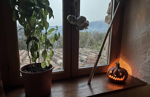 Prayols Cabaña | Cosy 2- bed Cottage in the mountains