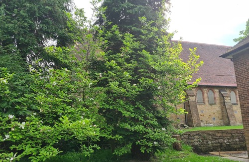 Flintshire Cabaña | Cosy annexe in beautiful north Wales