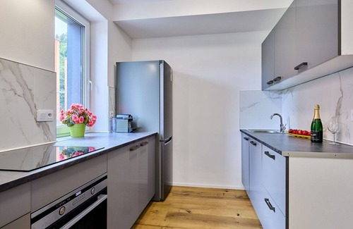 Svoboda nad Upou Apartamento | Acogedor apartamento para 4 personas con WIFI, TV, terraza, mascotas permitida y aparcamiento