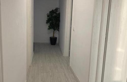 Sector 6 Apartamento | Apartament Nr. 7