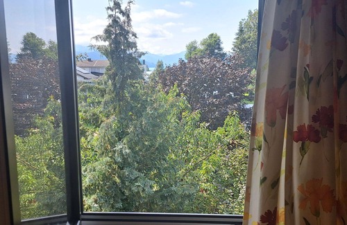 Seewalchen am Attersee Apartamento | Precioso apartamento para 4 personas con WIFI, TV, patio, vista panorámica y aparcamiento