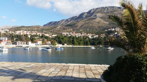 Zupa dubrovacka Apartamento | Cosy Apartment Gitta