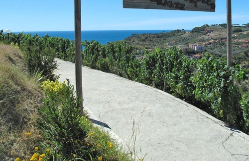 San Lorenzo al Mare Casa | Cosy apartment in villa with A/C, pool, patio, pets allowed, panoramic view and parking