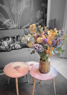 Rogier Apartamento | Cosy apartment jacqmain