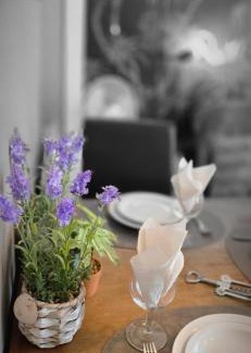 Rogier Apartamento | Cosy apartment jacqmain