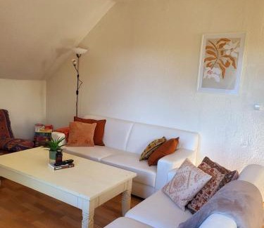 Feriendorf Frankenau Apartamento | Cosy Apartment Sternberg am National Park