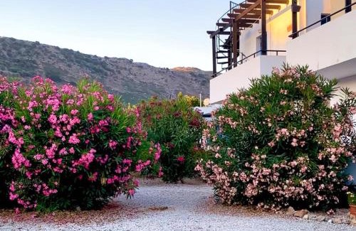 Drapanos Apartamento | Cosy APT w/pool and fast Wi-fi