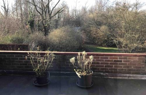Opdorp Apartamento | Cosy attic apartment, terrace, 1 bedroom North