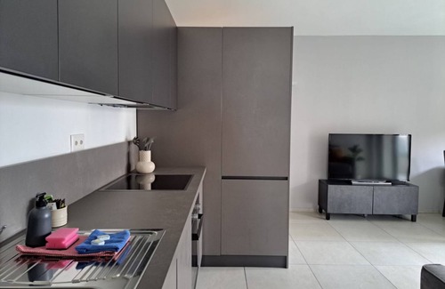 Viganello Apartamento | Cosy bilo close to the centre (Urban 1)
