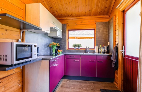 Gramsbergen Chalet De Esquí | Cosy chalet on versatile holiday park