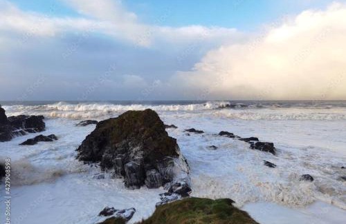 Portballintrae Casa | Cosy Coastal Cottage in Portballintrae
