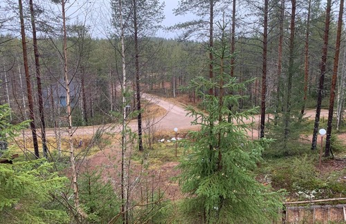 Tormanmaki Cabaña | cosy cottage in Paljakka, very close to nordic skiing slopes and lake new sauna