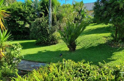 Berea Apartamento | Cosy Cottage