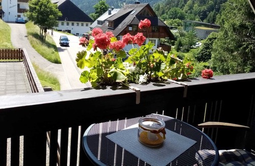Menzenschwand-Hinterdorf Apartamento | Acogedor apartamento con balcón y terraza privada en St. Blasien, en la Selva Negra