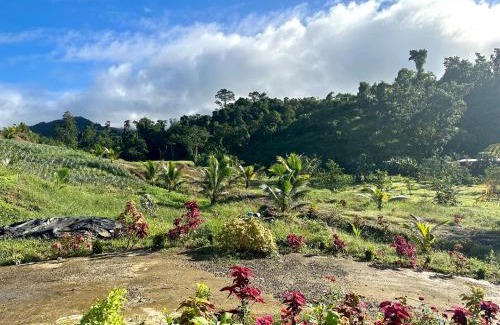 Northern Division Apartamento | Cosy Farmstay Jasmeeruls Bayt Tuvurara, Savusavu