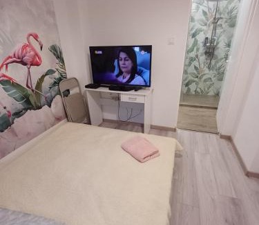Kotelek Apartamento | Cosy Flamingo S in Budapest